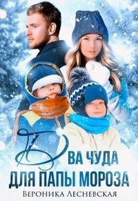 Обложка книги «Два чуда для Папы Мороза»