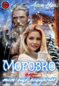 Обложка книги «Морозко или тот ещё подарочек»