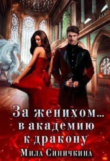 Обложка книги «За женихом... В академию к дракону»