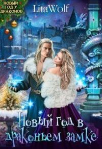 Обложка книги «Новый год в драконьем замке»