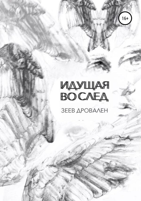 Обложка книги «Идущая вослед»