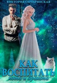 Обложка книги «Как воспитать кота и дракона»