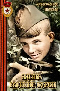 Обложка книги «Жизнь Василия Курки»