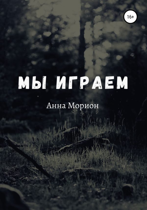 Обложка книги «Мы играем»