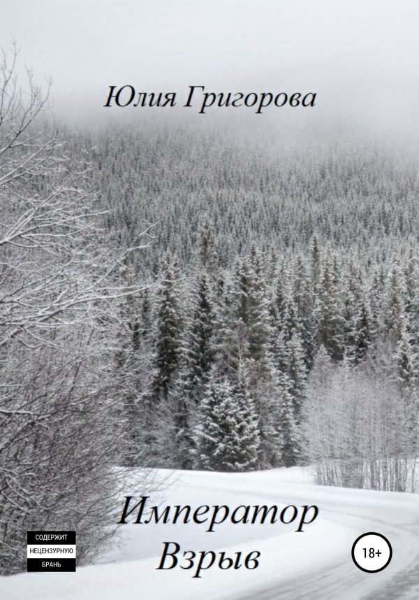 Обложка книги «Взрыв»