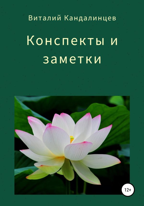 Обложка книги «Конспекты и заметки»