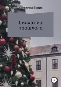 Обложка книги «Силуэт из прошлого»