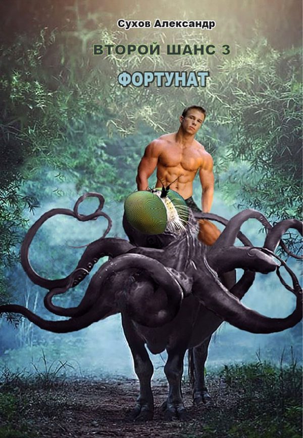 Обложка книги «Фортунат»
