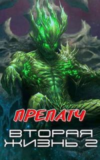 Обложка книги «Препатч»
