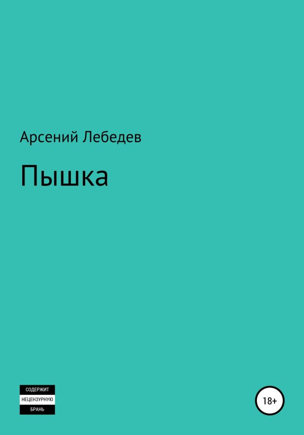 Обложка книги «Пышка»