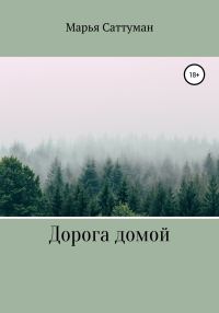 Обложка книги «Дорога домой»