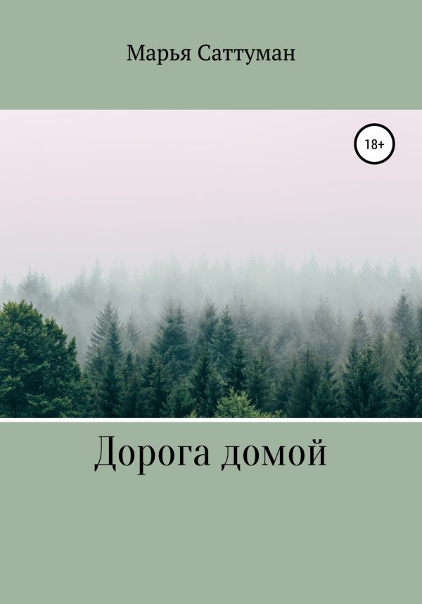 Обложка книги «Дорога домой»