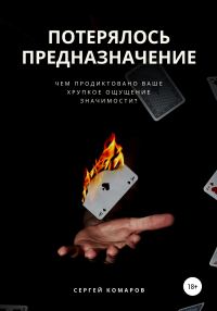 Обложка книги «Потерялось предназначение»