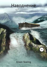 Обложка книги «Наводнение»