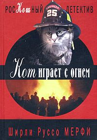 Обложка книги «Кот играет с огнем»