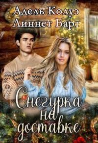 Обложка книги «Снегурка на доставке»