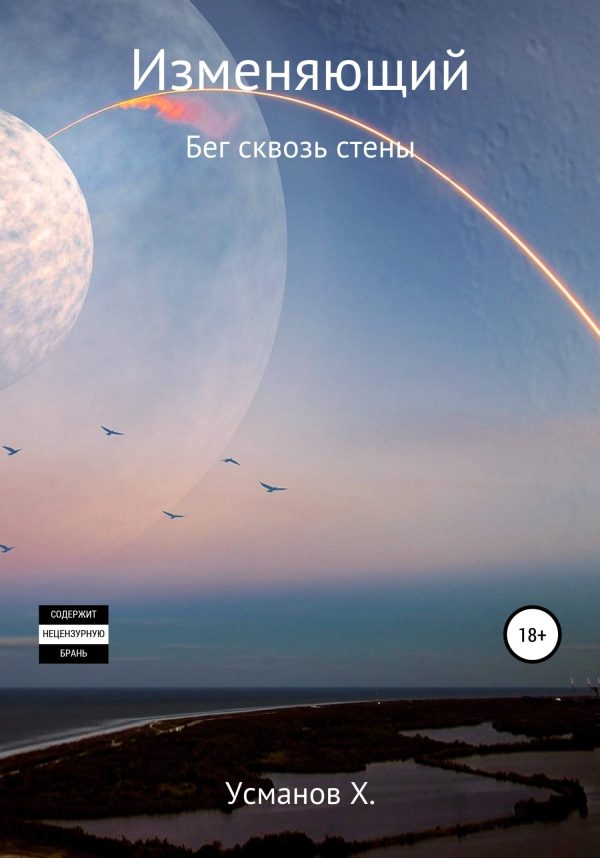 Обложка книги «Бег сквозь стены»