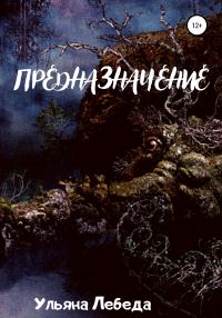 Обложка книги «Предназначение»