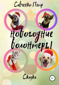 Обложка книги «Новогодние волонтеры»