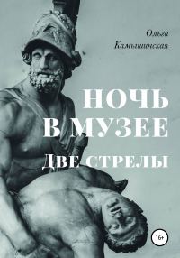 Обложка книги «Ночь в музее. Две стрелы»