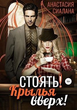 Обложка книги «Стоять! Крылья вверх!»