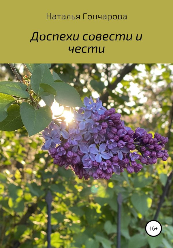 Обложка книги «Доспехи совести и чести»