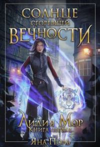 Обложка книги «Солнце сгоревшей вечности»