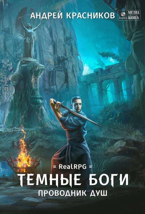 Обложка книги «Проводник душ»