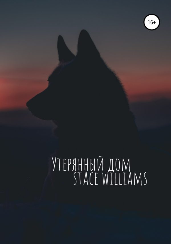 Обложка книги «Утерянный дом»