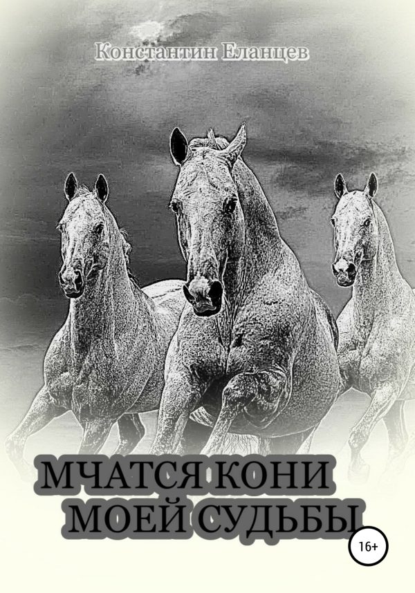 Обложка книги «Мчатся кони моей судьбы»