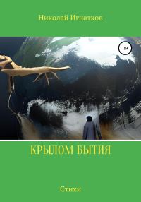 Обложка книги «Крылом бытия»