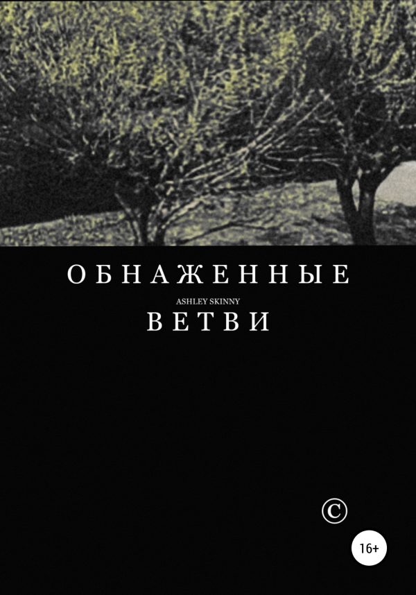 Обложка книги «Обнаженные ветви»