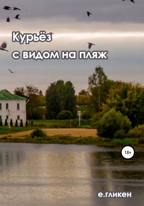 Обложка книги «Курьёз с видом на пляж»