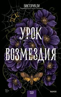 Обложка книги «Урок возмездия»