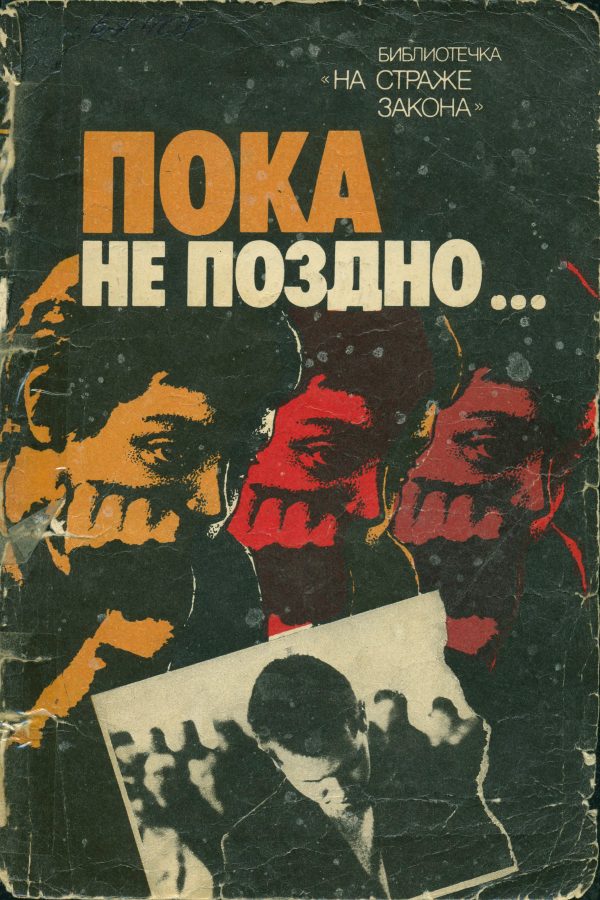 Обложка книги «Пока не поздно»