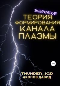 Обложка книги «Эмпирическая теория формирования канала плазмы»