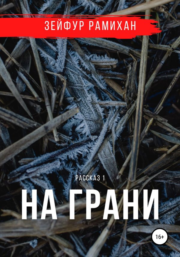 Обложка книги «На грани»