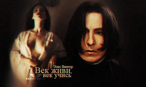 Обложка книги «Век живи, век учись (СИ)»