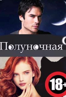Обложка книги «Полуночная девственница»