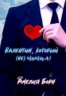 Обложка книги «Валентин, который (не) попал»