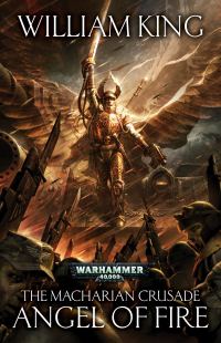 Обложка книги «Angel of Fire»