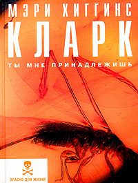 Обложка книги «Ты мне принадлежишь»