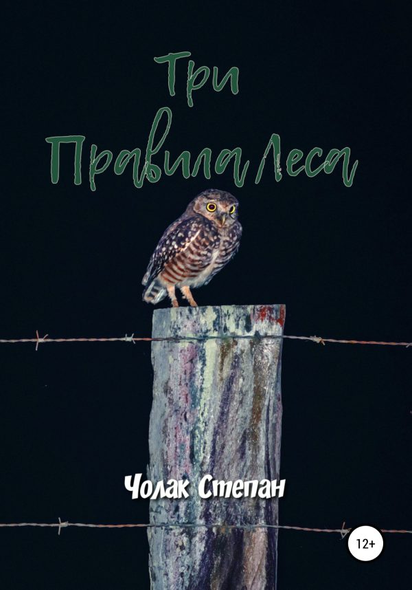 Обложка книги «Три правила леса»