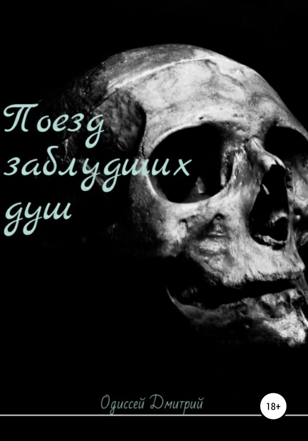 Обложка книги «Поезд заблудших душ»