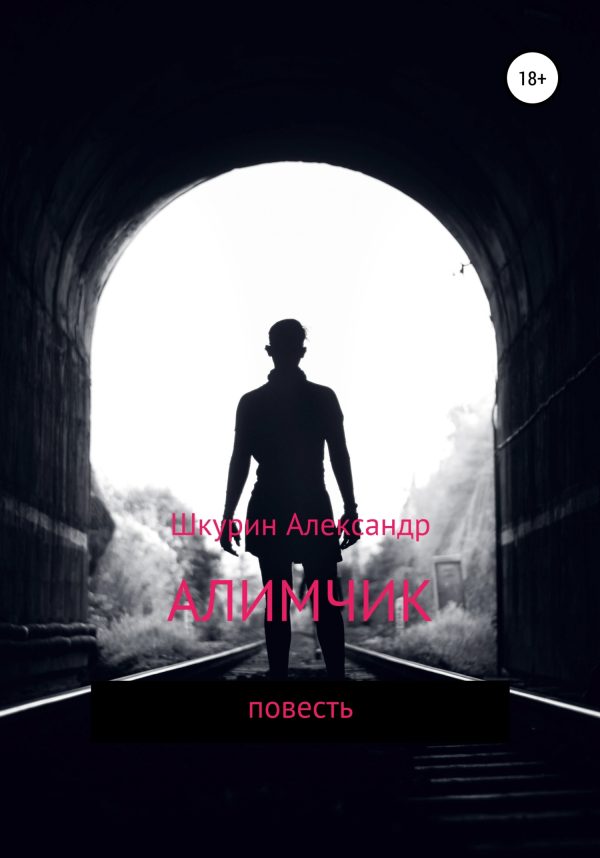 Обложка книги «Алимчик»