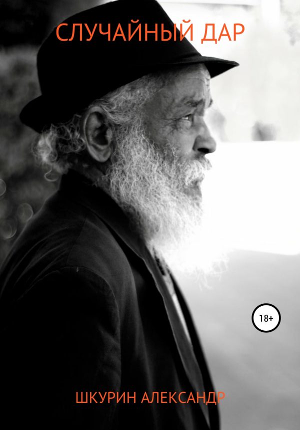 Обложка книги «Случайный дар»