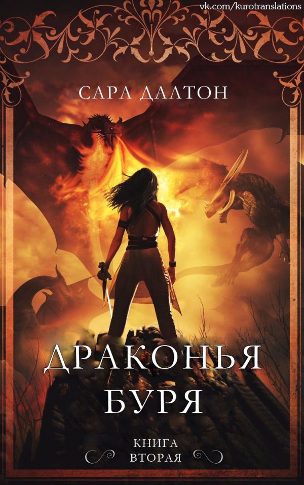 Обложка книги «Драконья буря»