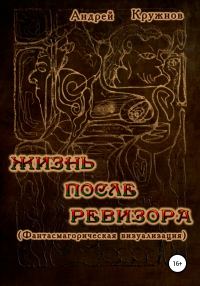 Обложка книги «Жизнь после ревизора»