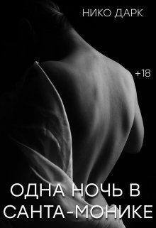 Обложка книги «Одна ночь в Санта-Монике (СИ)»
