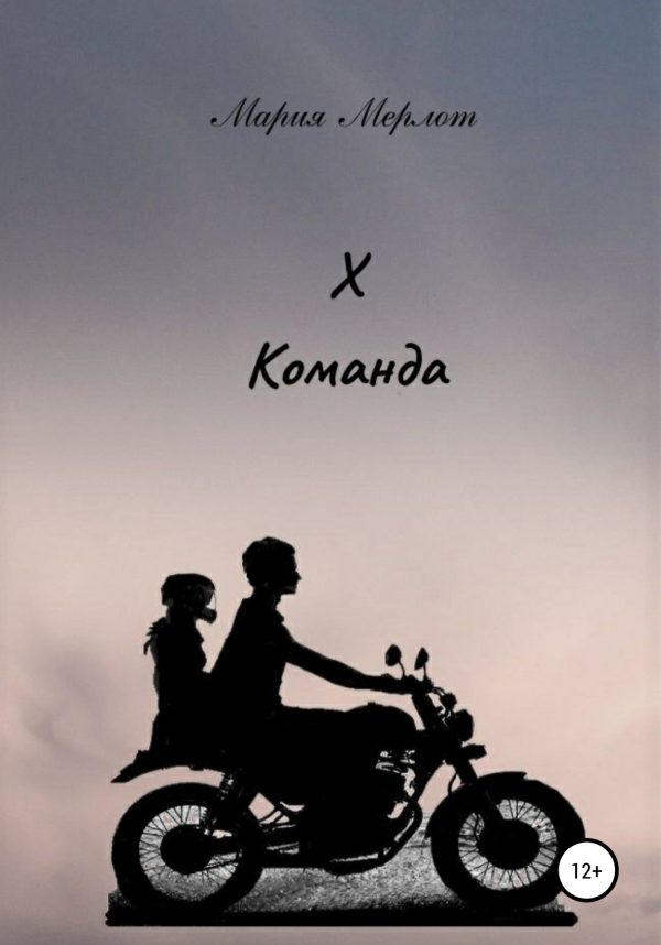 Обложка книги «Х команда»